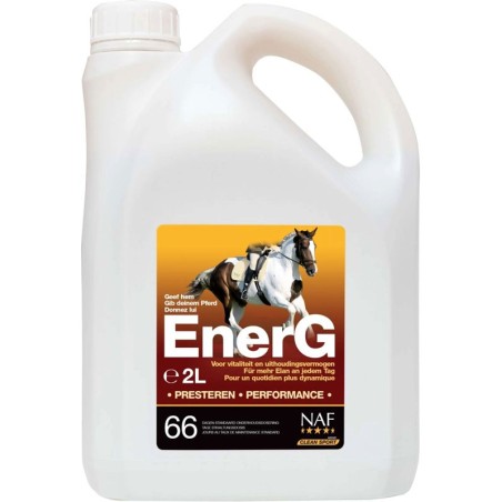Energ 2L
